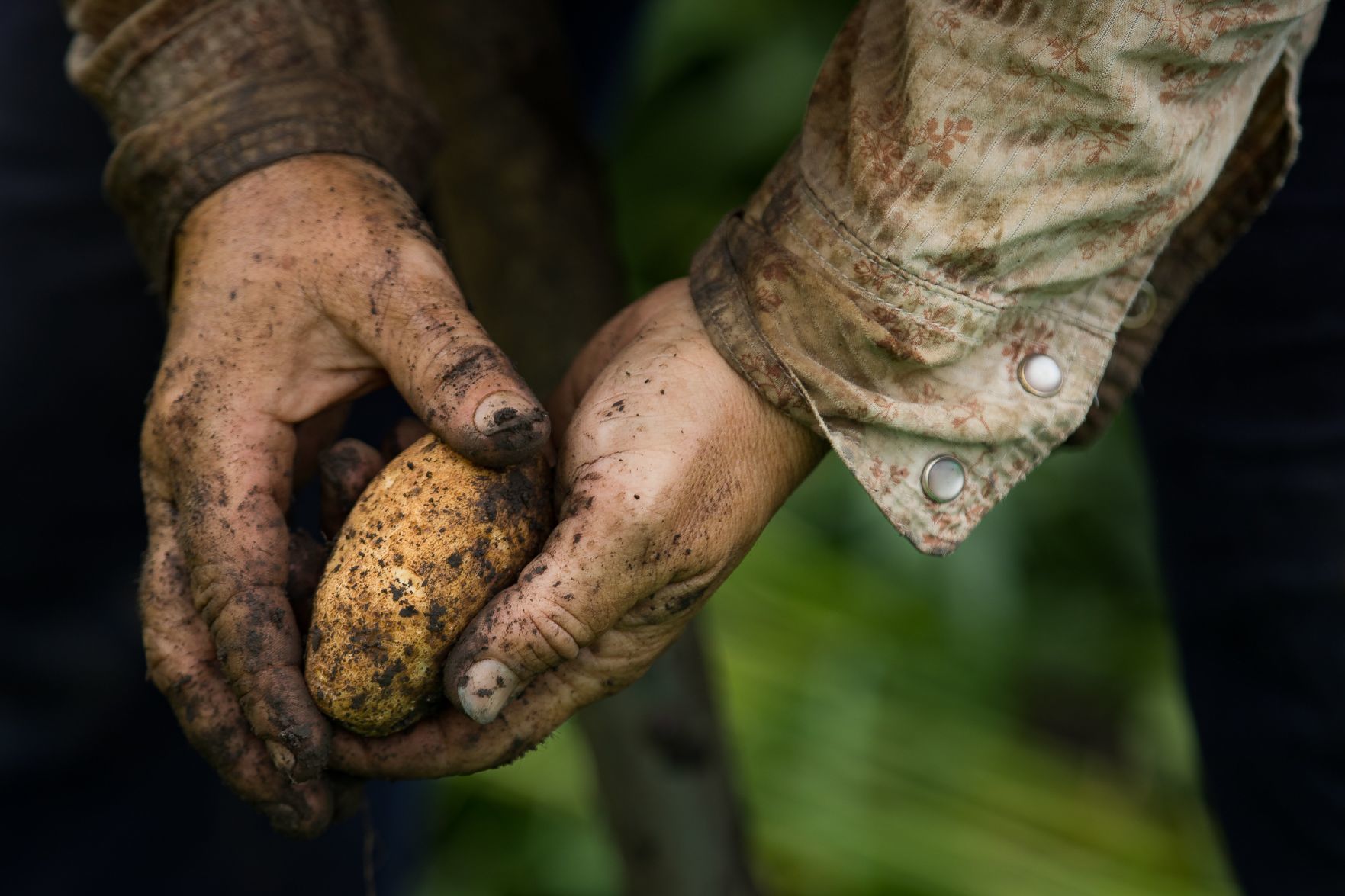 20190728_liv_farm_rs04